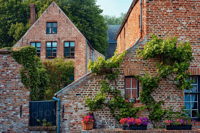 Old housesof Begijnhof Beguinage with flowers in Bruges town