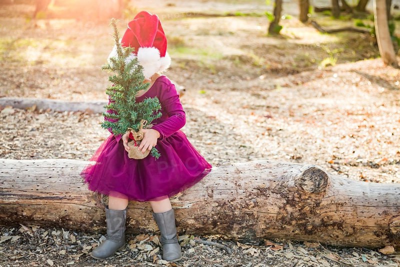 Cute mixed-race young baby girl having fun with santa hat and christmas tree outdoors on log