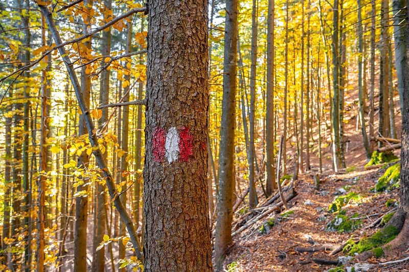 Hiking marker