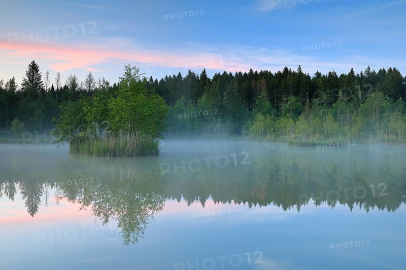 Moorland lake at dawn