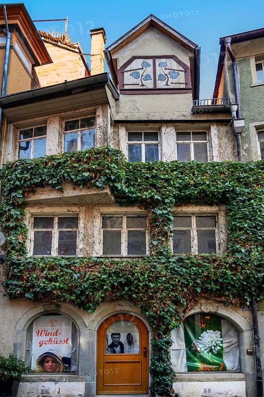 Old overgrown facade with lift dormer