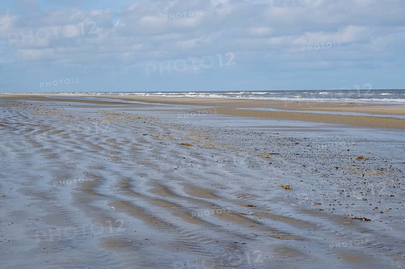 Wellen und Priele an der Nordseekueste