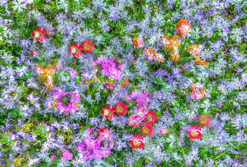 Flowers creative