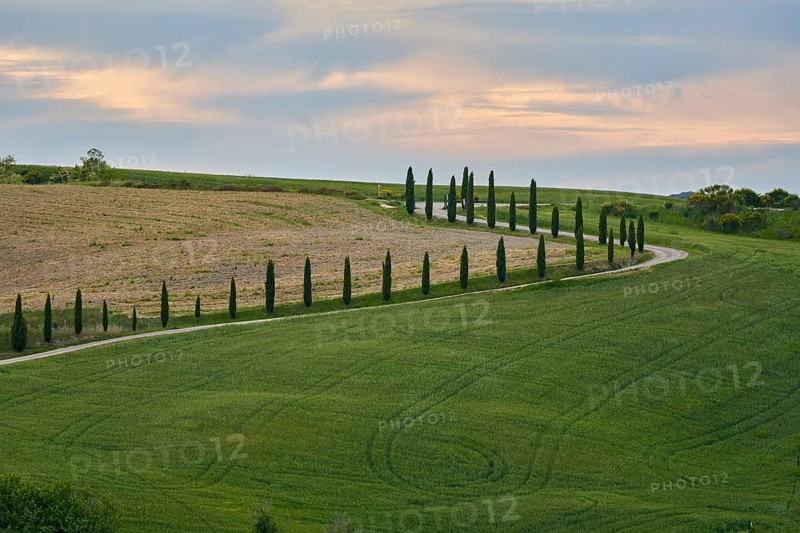 Pienza in Spring