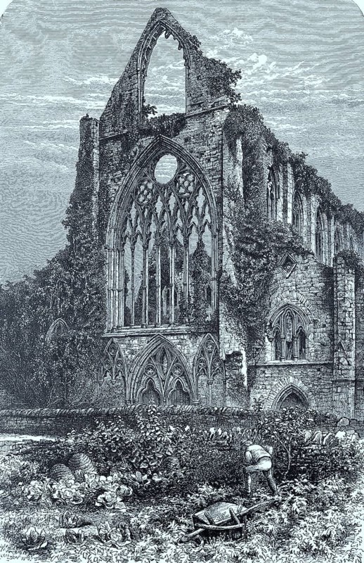 Tintern Abbey