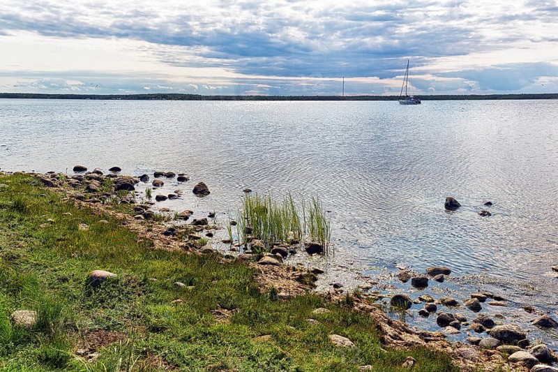 Shore of the lagoon-like bay Grankullaviken