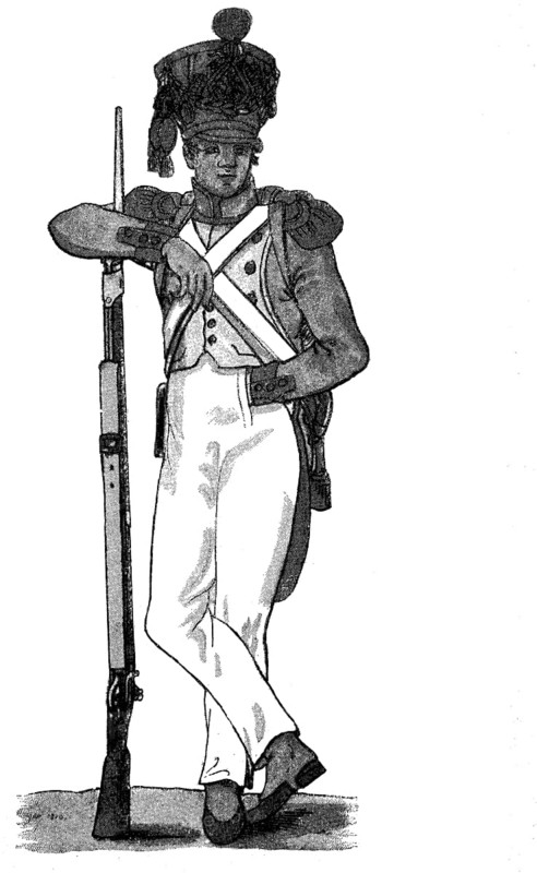 Soldier of the French Line under shore clingfish