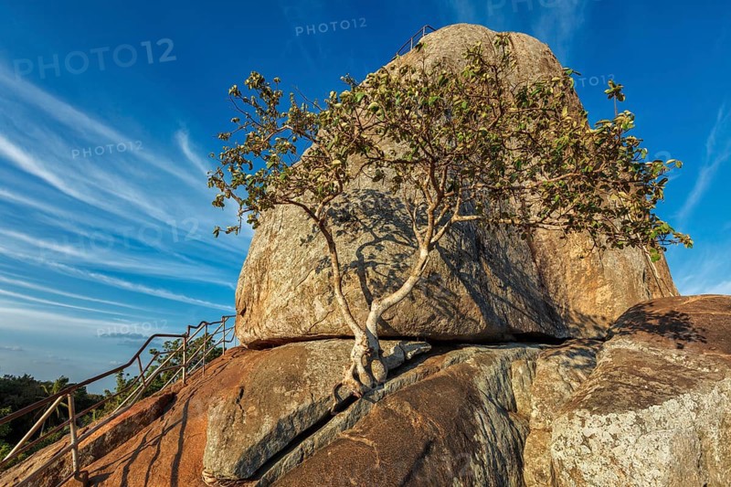 Meditation rock in Mihintale