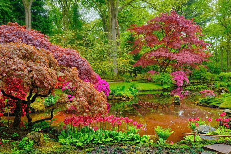 Little Japanese garden after rain