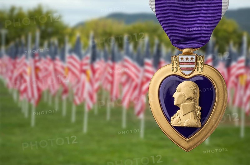 Purple heart miltary merit medal against memorial field of american flags