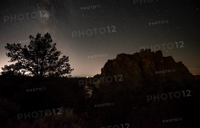 Tree and canyon against night sky
