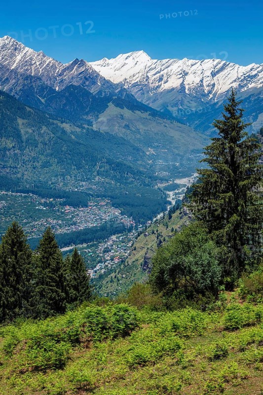 Spring meadow in Kullu valley in Himalaya mountains. Himachal Pradesh