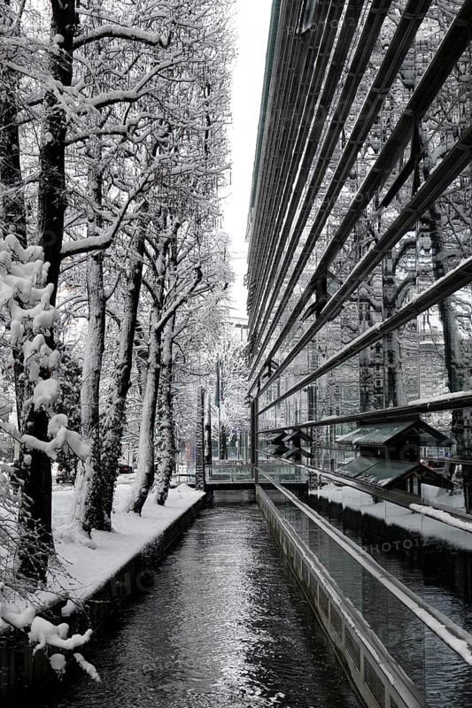 Glass facade of the Max Planck Institute for Innovation and Competition on Hofgartenstrasse