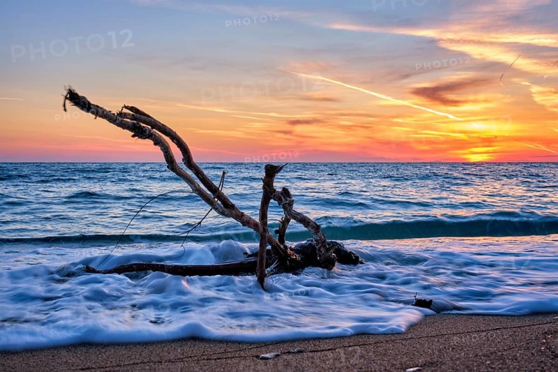 Ld wood trunk snag in water at tropical beach on beautiful sunset