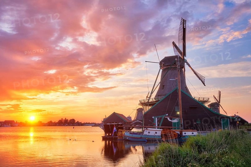 Netherlands rural scene