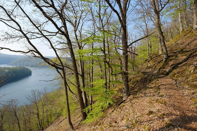 Hiking trail in the beech forest with a view of Lake Eder