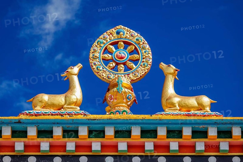Buddhist Wheel of the Law