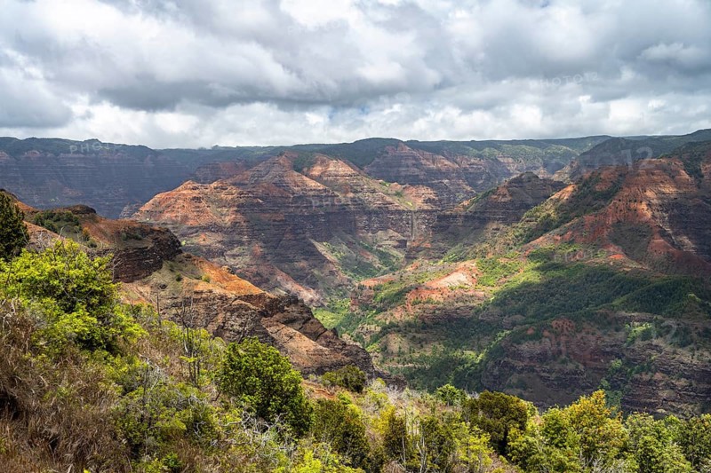 Waimea Canyon State Park