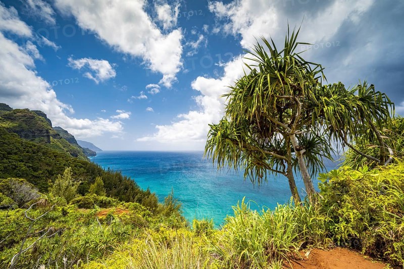 Blick vom Kalalau Trail auf die Na Pali Coast