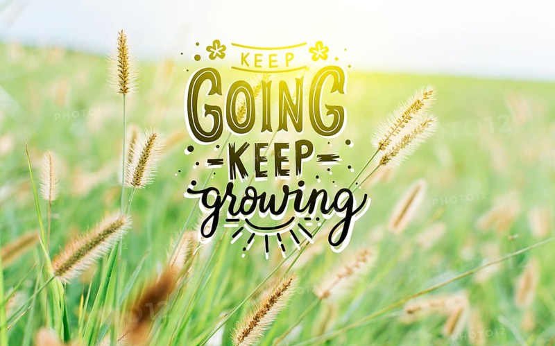 Motivational quotes
