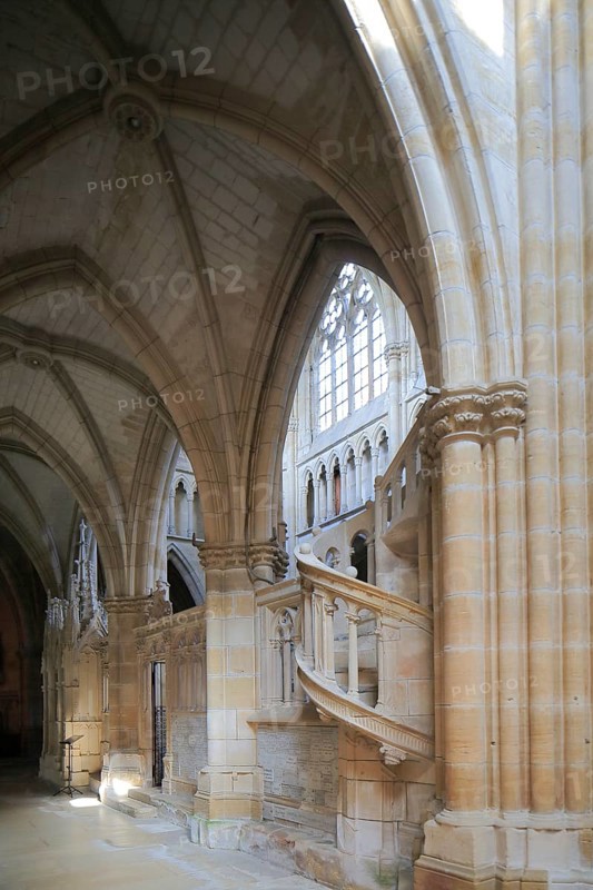 Gothic Basilica of Notre Dame