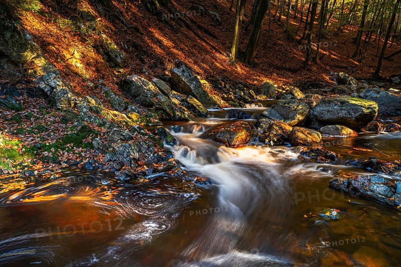 Herbststimmung an Stromschnellen der Hoegne