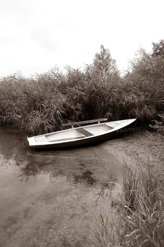 Fischerboot im Morgennebel im Schilfguertel am Ufer