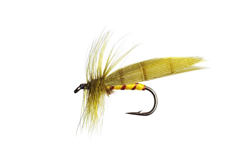 Fishing Fly
