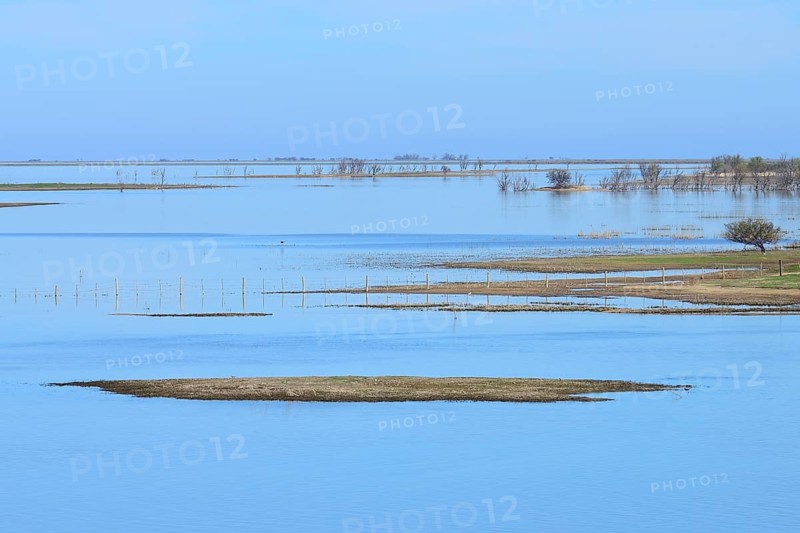 Alluvial land on the Rio Parana