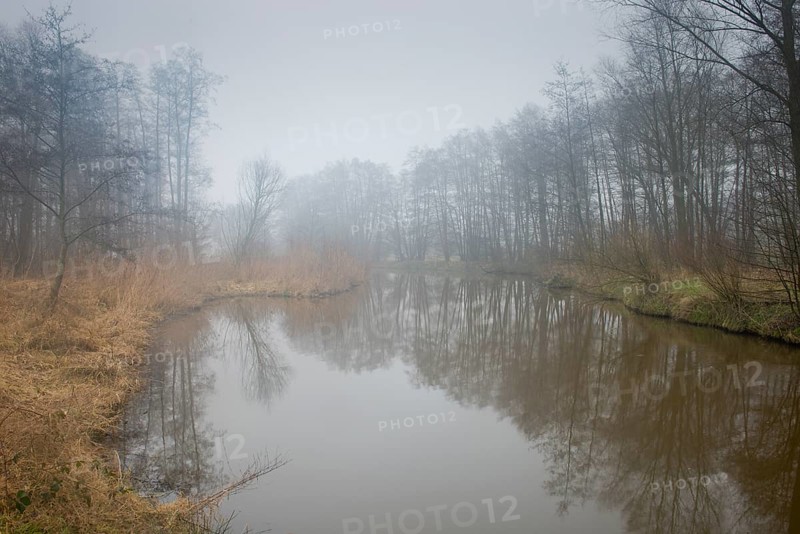 back water of the Ems