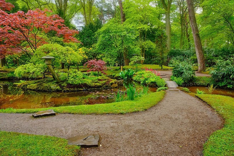 Little Japanese garden after rain