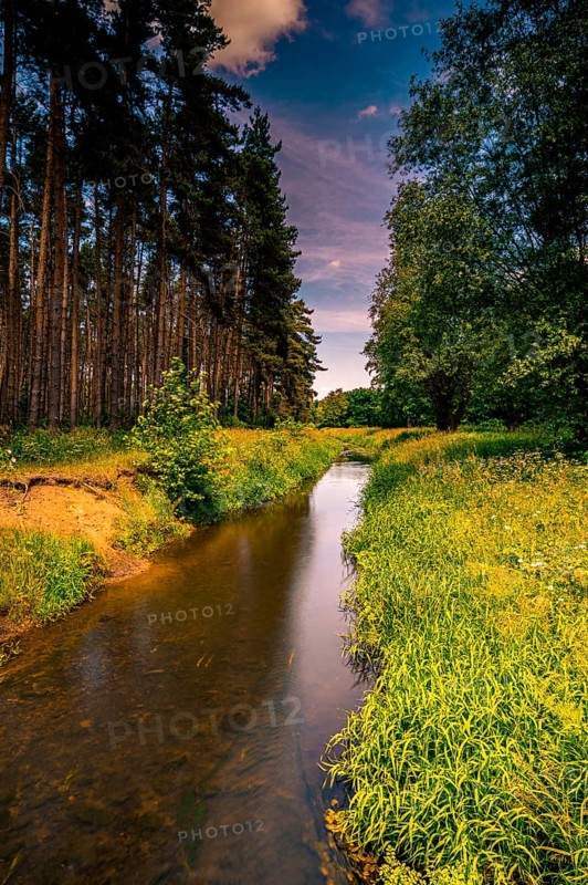 Long exposure of the river Wietze in Langenhagen in the region of Hannover