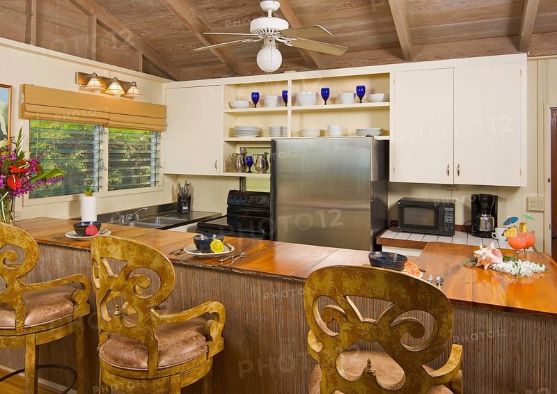 Tropical kitchen interior