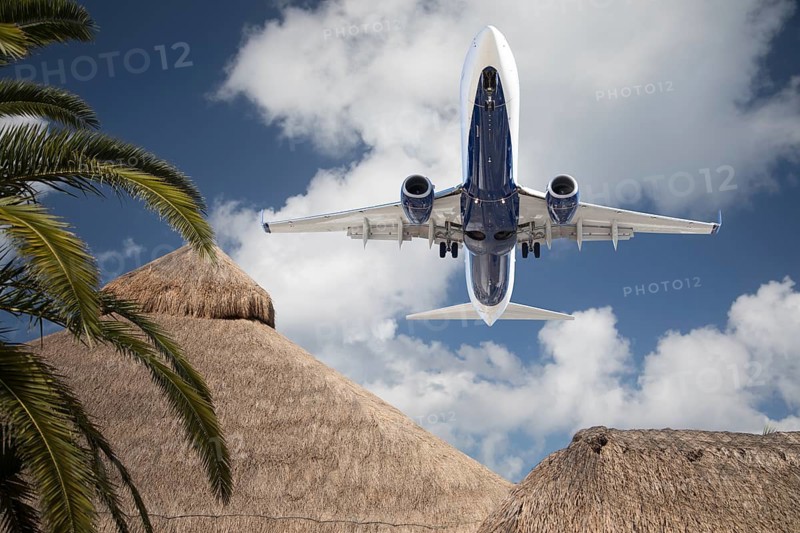 Bottom view of passenger airplane flying over tropical palm trees and huts