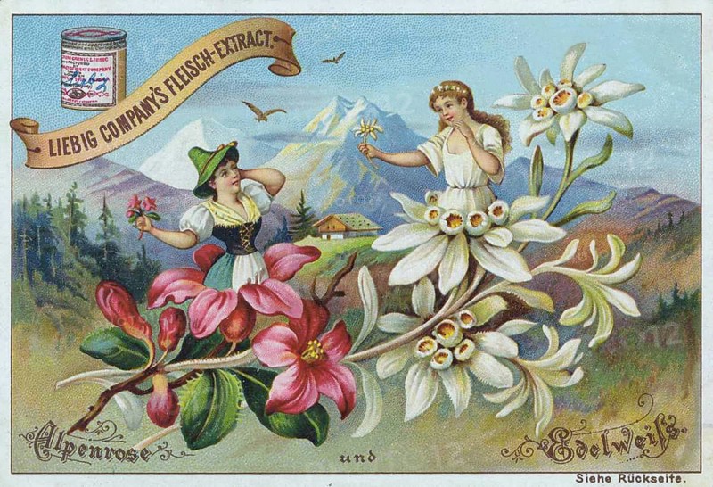 Series Flowers and Legends