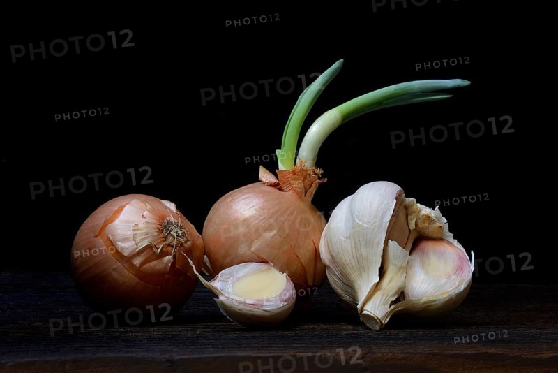 Sprouting common onion