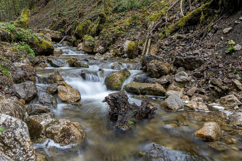 Riverbed on the Frillensee stream along the Bergwald adventure trail