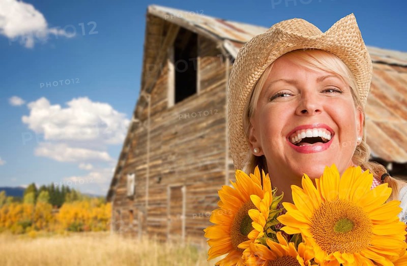 Beautiful caucasian young woman wearing cowboy hat holding sunflower in front of rustic barn in the country