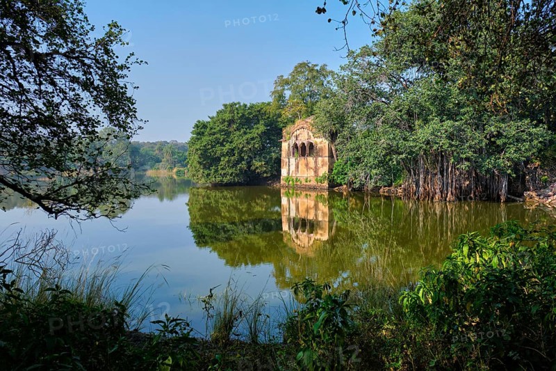 Beautiful toursit landmark Padma Talao lake with ruins remnants of fort. Tropical green and trees of reserve. Ranthambore National Park