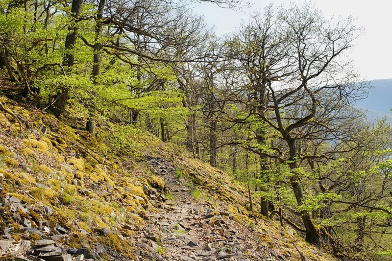 Hiking trail at the Blockhalde