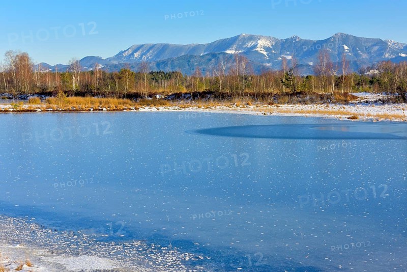 Frozen moor pond with hoarfrost