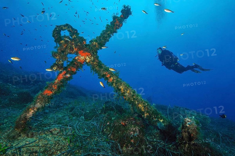 Old stick anchor