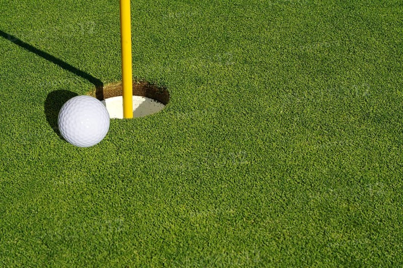 Close-up of golf course green