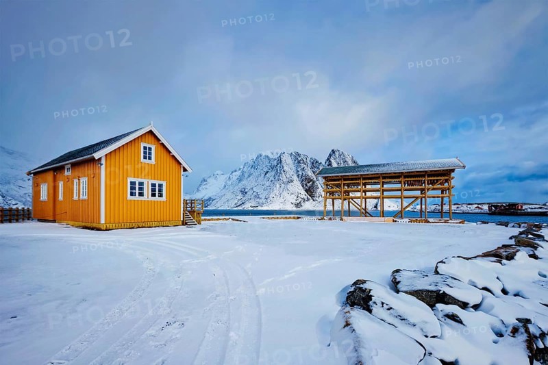 Traditional yellow rorbu house in drying flakes for stockfish cod fish in winter