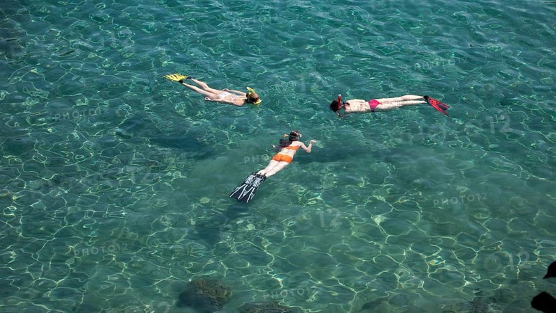 Three snorkellers swim on the surface and look at the seabed in a shallow bay with turquoise water