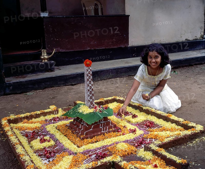 A girl doing floral decoration or pookalam during Onam festival in Kodungallur