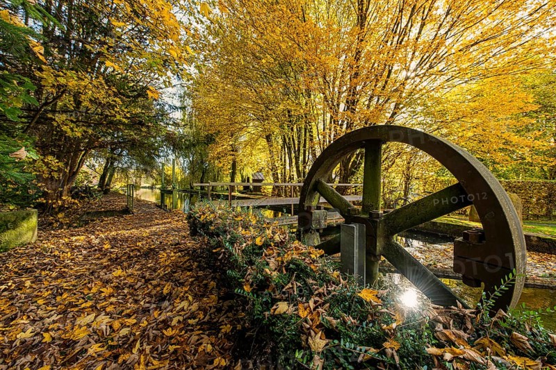 Golden autumn on the Anzinger Sempt in Markt Swabia