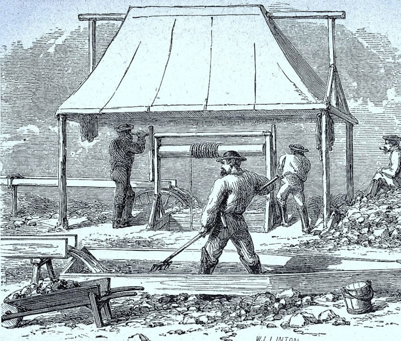 Gold miners in California