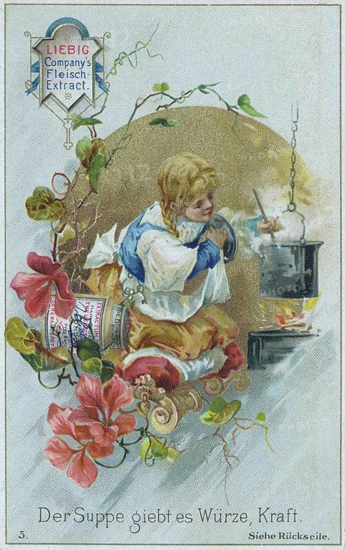 Picture series the cook
