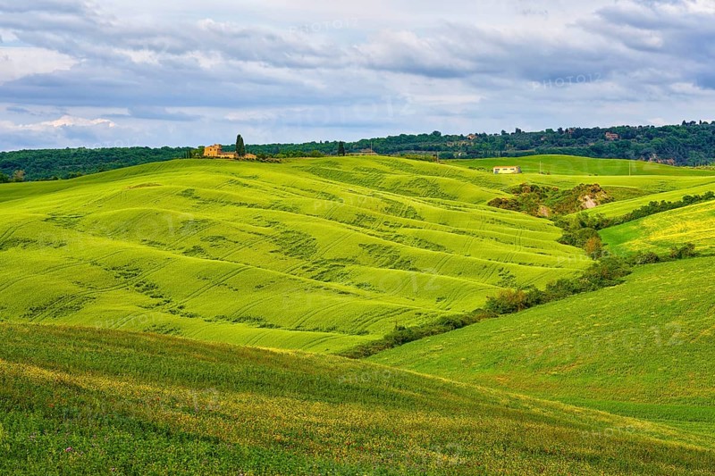 Pienza in Spring